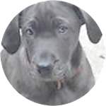 reviewer profile image