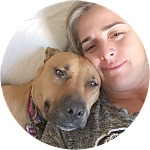reviewer profile image