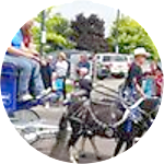 reviewer profile image