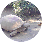 reviewer profile image