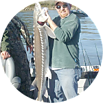 reviewer profile image