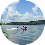 reviewer profile image