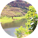 reviewer profile image