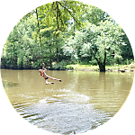 reviewer profile image