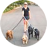 reviewer profile image