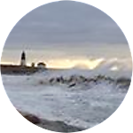 reviewer profile image