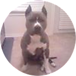 reviewer profile image