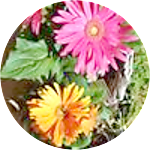 reviewer profile image