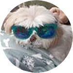 reviewer profile image