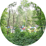 reviewer profile image