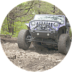 reviewer profile image
