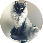 reviewer profile image