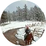 reviewer profile image