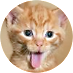 reviewer profile image