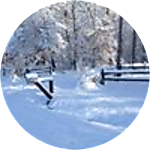 reviewer profile image