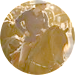 reviewer profile image