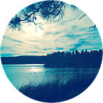 reviewer profile image