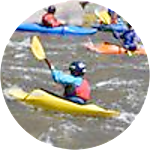 reviewer profile image