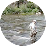 reviewer profile image