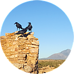 reviewer profile image