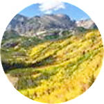 reviewer profile image