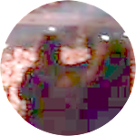 reviewer profile image