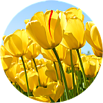 reviewer profile image