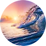reviewer profile image
