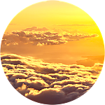 reviewer profile image