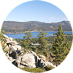 reviewer profile image