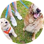 reviewer profile image