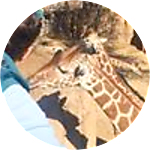 reviewer profile image