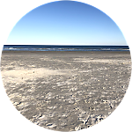 reviewer profile image