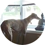 reviewer profile image
