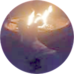 reviewer profile image