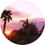 reviewer profile image