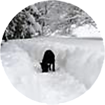 reviewer profile image
