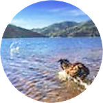 reviewer profile image