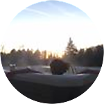 reviewer profile image