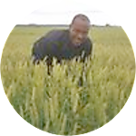reviewer profile image