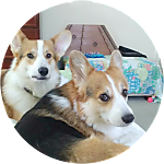 reviewer profile image