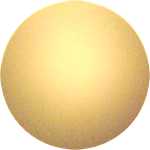 reviewer profile image