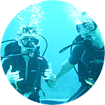 reviewer profile image
