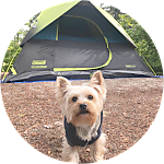 reviewer profile image
