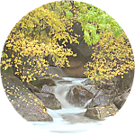 reviewer profile image