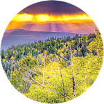 reviewer profile image