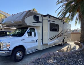 Winnebago Minnie Winnie 31H