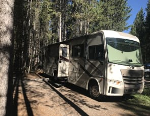 Forest River RV Georgetown 3 Series 31B3