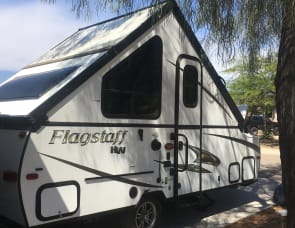 Forest River RV Flagstaff Classic 425D