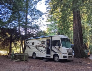 Forest River RV Georgetown 270S